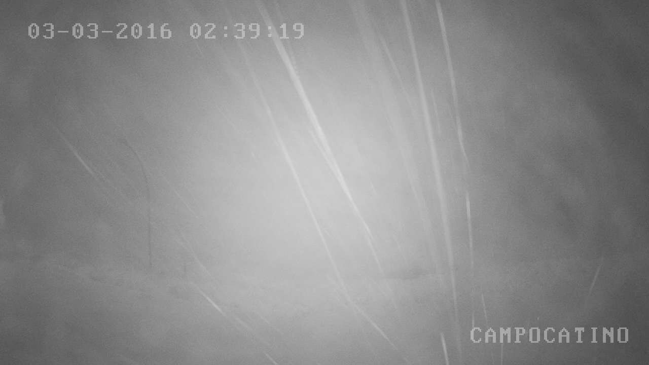 webcam-pegaso