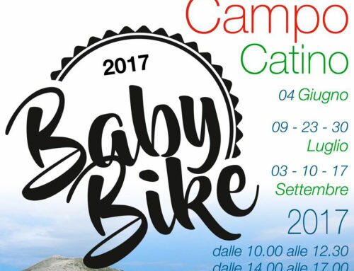 Baby Bike 2017